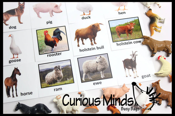 Animal Match - FARM - Miniature Animals with Matching Cards - 2