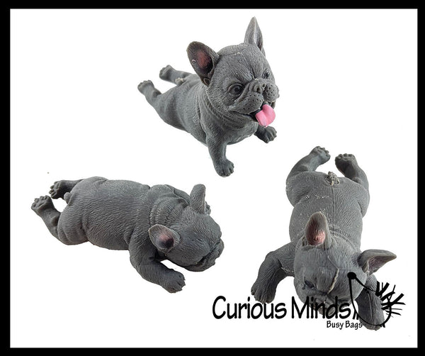 French bulldog stress store ball