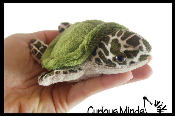 Cute Small Turtle Plush Stuffed Animals Adorable Tiny Mini Plushie