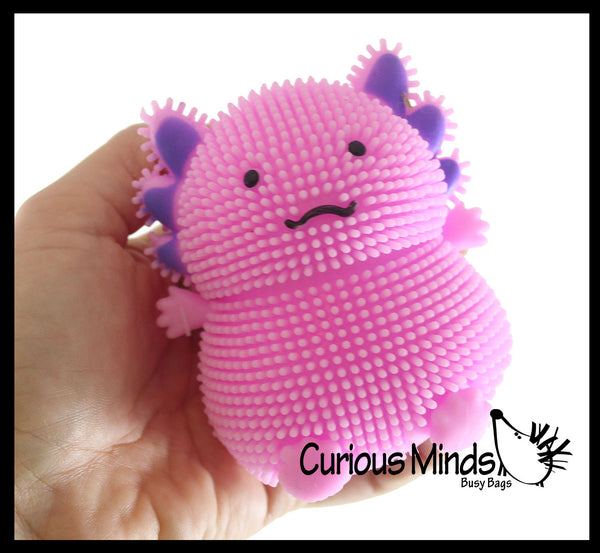 Axolotl Puffer Air- Filled Squeeze Stress Balls - Walking Fish - Senso ...