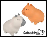 NEW - Capybara Squishy Squeeze Stress Ball Soft Doh Filling - Like Shaving Cream - Sensory, Fidget Toy