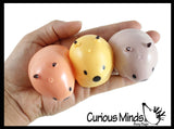 NEW - Capybara Splat Ball -  Water Filled Splat Stress Ball - Throw to Make it Splat and Watch it Come Back