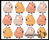 NEW - Capybara Splat Ball -  Water Filled Splat Stress Ball - Throw to Make it Splat and Watch it Come Back