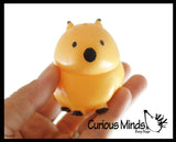 NEW - Capybara Splat Ball -  Water Filled Splat Stress Ball - Throw to Make it Splat and Watch it Come Back