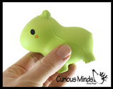 NEW - Capybara Fidget Set of 3 -  Slow Rise Squishy Toy - Water Wiggler - Doh Ball