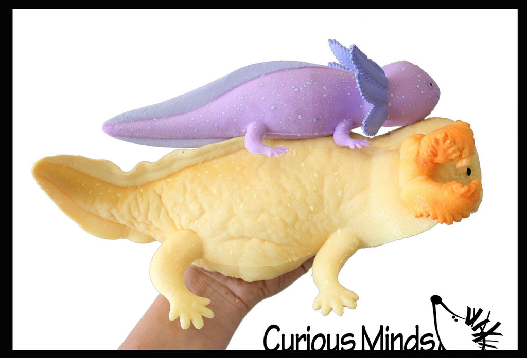 Jumbo Grow an Axolotl in Water - Add Water and it Grows - Critter Toy