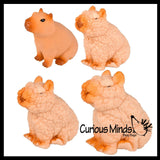 Grow a Capybara in Water - Add Water and it Grows Toy Fun Science Expanding Novelty Magic Absorbent Polymer Toy