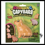 Grow a Capybara in Water - Add Water and it Grows Toy Fun Science Expanding Novelty Magic Absorbent Polymer Toy