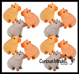 Grow a Capybara in Water - Add Water and it Grows Toy Fun Science Expanding Novelty Magic Absorbent Polymer Toy