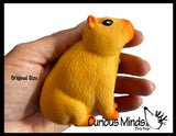 Grow a Capybara in Water - Add Water and it Grows Toy Fun Science Expanding Novelty Magic Absorbent Polymer Toy