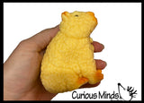 Grow a Capybara in Water - Add Water and it Grows Toy Fun Science Expanding Novelty Magic Absorbent Polymer Toy