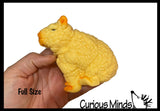 Grow a Capybara in Water - Add Water and it Grows Toy Fun Science Expanding Novelty Magic Absorbent Polymer Toy