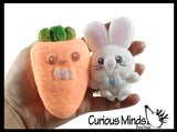 Grow a Easter Figure in Water - Add Water and it Grows - Critter Toy - Soak in Water and It Expands Bunny Carrot Egg Chick