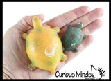 Hatch and Grow a Turtle Egg in Water - Add Water and it Grow - Critter Toy Bath - Soak in Water and It Expands