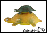 Hatch and Grow a Turtle Egg in Water - Add Water and it Grow - Critter Toy Bath - Soak in Water and It Expands