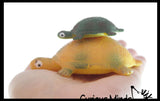 Hatch and Grow a Turtle Egg in Water - Add Water and it Grow - Critter Toy Bath - Soak in Water and It Expands