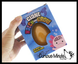 Jumbo Hatch and Grow an Axolotl Egg in Water - Add Water and it Grow - Critter Toy Bath - Soak in Water and It Expands