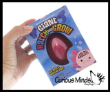 Jumbo Hatch and Grow an Axolotl Egg in Water - Add Water and it Grow - Critter Toy Bath - Soak in Water and It Expands