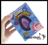 Jumbo Hatch and Grow an Axolotl Egg in Water - Add Water and it Grow - Critter Toy Bath - Soak in Water and It Expands