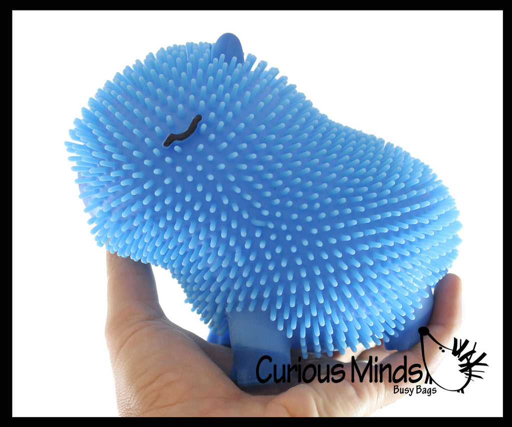 NEW - Capybara 6" Puffer Air- Filled Squeeze Stress Balls - Large Rodent  -  Sensory, Stress, Fidget Toy