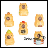 NEW - Capybara Dressed Mini Slow Rise Squishy Toy - Memory Foam Spongy Stress Fidget Ball