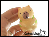 NEW - Capybara Dressed Mini Slow Rise Squishy Toy - Memory Foam Spongy Stress Fidget Ball