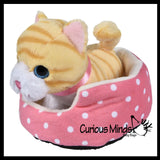 NEW - Cute Cat and Dog Pet in Bed Stuffed Animal Plush Toy - Adorable Stuffie with Pet Bed