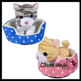 NEW - Cute Cat and Dog Pet in Bed Stuffed Animal Plush Toy - Adorable Stuffie with Pet Bed