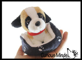 NEW - Cute Cat and Dog Pet in Bed Stuffed Animal Plush Toy - Adorable Stuffie with Pet Bed