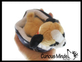 NEW - Cute Cat and Dog Pet in Bed Stuffed Animal Plush Toy - Adorable Stuffie with Pet Bed