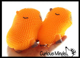 NEW - Capybara Puffer Air- Filled Squeeze Stress Balls - Large Rodent  -  Sensory, Stress, Fidget Toy