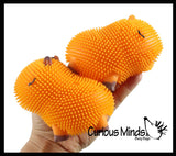 NEW - Capybara Puffer Air- Filled Squeeze Stress Balls - Large Rodent  -  Sensory, Stress, Fidget Toy