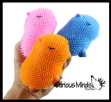 NEW - Capybara Puffer Air- Filled Squeeze Stress Balls - Large Rodent  -  Sensory, Stress, Fidget Toy