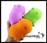 NEW - Capybara Puffer Air- Filled Squeeze Stress Balls - Large Rodent  -  Sensory, Stress, Fidget Toy