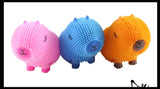 NEW - Capybara Puffer Air- Filled Squeeze Stress Balls - Large Rodent  -  Sensory, Stress, Fidget Toy