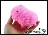 NEW - Capybara Puffer Air- Filled Squeeze Stress Balls - Large Rodent  -  Sensory, Stress, Fidget Toy