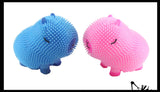 NEW - Capybara Puffer Air- Filled Squeeze Stress Balls - Large Rodent  -  Sensory, Stress, Fidget Toy