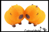 NEW - Capybara Puffer Air- Filled Squeeze Stress Balls - Large Rodent  -  Sensory, Stress, Fidget Toy