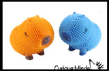 NEW - Capybara Puffer Air- Filled Squeeze Stress Balls - Large Rodent  -  Sensory, Stress, Fidget Toy