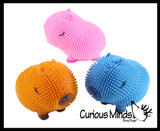 NEW - Capybara Puffer Air- Filled Squeeze Stress Balls - Large Rodent  -  Sensory, Stress, Fidget Toy