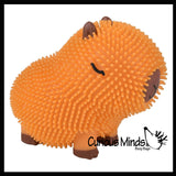 NEW - Capybara Puffer Air- Filled Squeeze Stress Balls - Large Rodent  -  Sensory, Stress, Fidget Toy