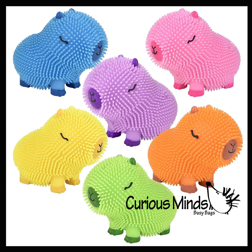 NEW - Capybara Puffer Air- Filled Squeeze Stress Balls - Large Rodent  -  Sensory, Stress, Fidget Toy