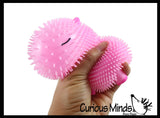 NEW - Capybara Puffer Air- Filled Squeeze Stress Balls - Large Rodent  -  Sensory, Stress, Fidget Toy