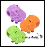 NEW - Capybara Puffer Air- Filled Squeeze Stress Balls - Large Rodent  -  Sensory, Stress, Fidget Toy