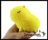 NEW - Capybara Puffer Air- Filled Squeeze Stress Balls - Large Rodent  -  Sensory, Stress, Fidget Toy