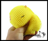 NEW - Capybara Puffer Air- Filled Squeeze Stress Balls - Large Rodent  -  Sensory, Stress, Fidget Toy