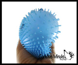 NEW - Capybara Puffer Air- Filled Squeeze Stress Balls - Large Rodent  -  Sensory, Stress, Fidget Toy