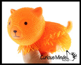 Shaggy Cat and Mop Dog - Large Puffer Balls - Sensory Therapy Fidget Stress Balls - OT Autism SPD