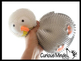 NEW - Seagull Puffer Air- Filled Squeeze Stress Balls Gull Pigeon -  Sensory, Stress, Fidget Toy