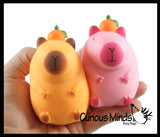 NEW - Capybara Stretchy Sand Filled - Lover Sensory Fidget Toy Weighted Cute Colorful Capys